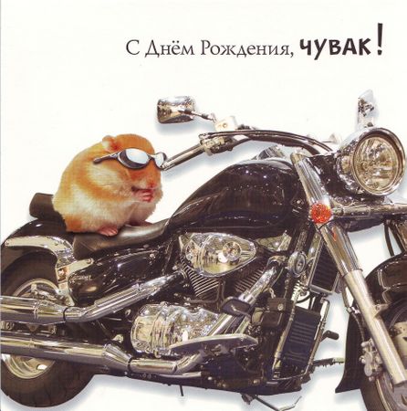 Поздравления другу байкеру Поздравления другу байкеру